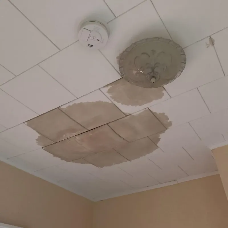 Ceiling Water Damage Repair in Midfield, AL