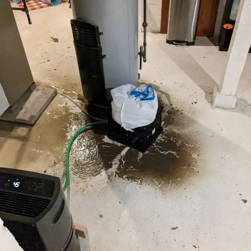 Sewage Backup Cleanup Service in Midfield, AL